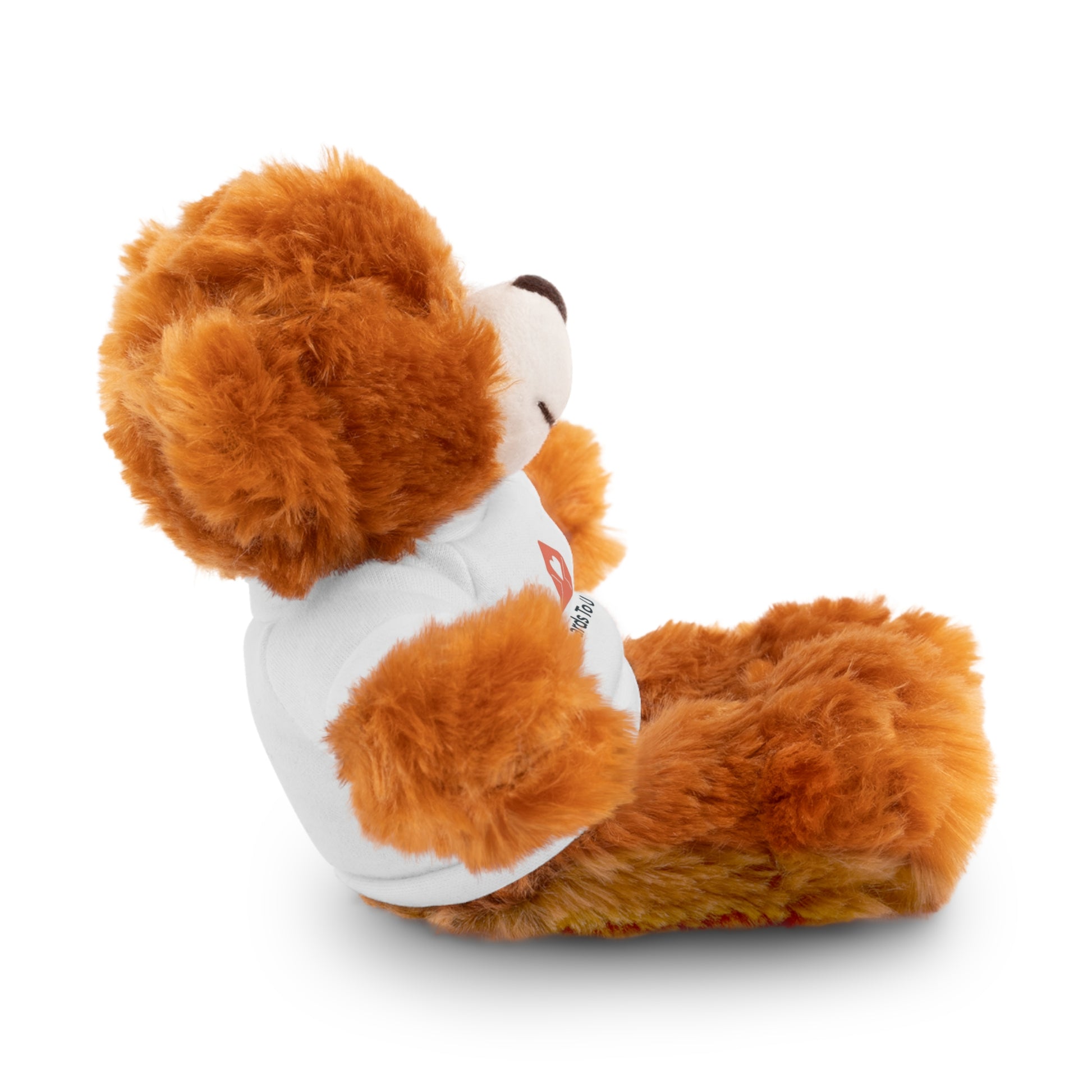 Custom Stuffed Animal with Tee – Personalizable Plush Bear Gift